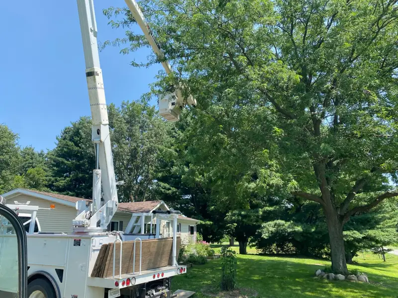 Bucket truck parked beside a ranch house with the boom raised into a large tree over the yard