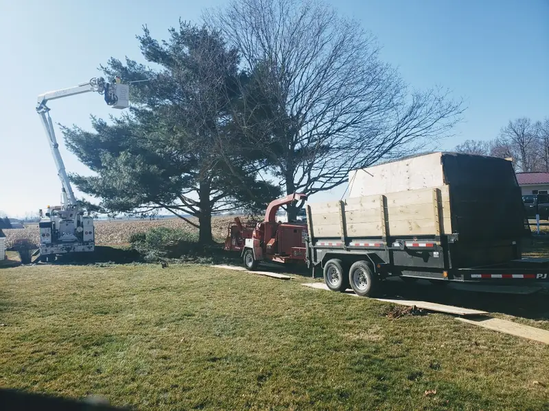 Bucket truck, red brush chipper and a covered dump trailer lined up at a job beside a pine