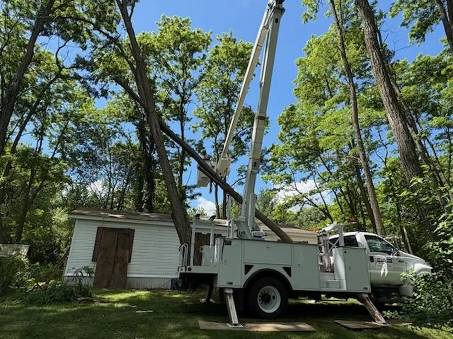 Patriot Tree Corp bucket truck taking down a leaning tree beside a white house, outriggers set on plywood pads