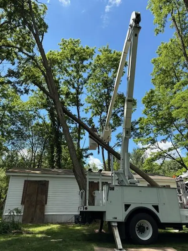 Bucket truck boom reaching a leaning tree beside a white shed