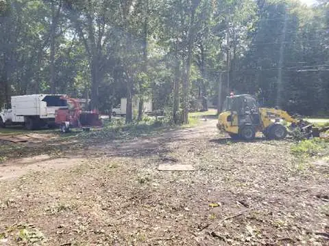 Cleared lot with a yellow loader, chipper and truck parked under the remaining trees