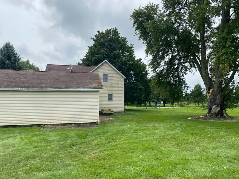 Large tree with a cracked trunk standing beside a two-story farmhouse