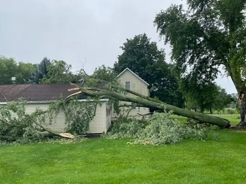 A tree blown over after a storm lying across a lawn beside a house