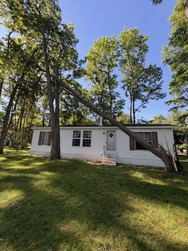Tall tree leaning across the roof line of a white mobile home