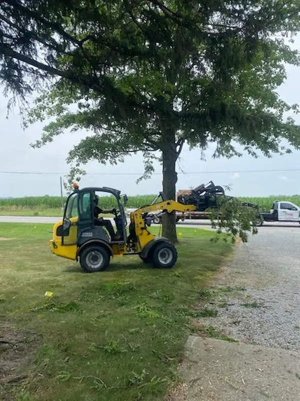 Compact loader carrying a load of cut brush across a lawn toward the drive