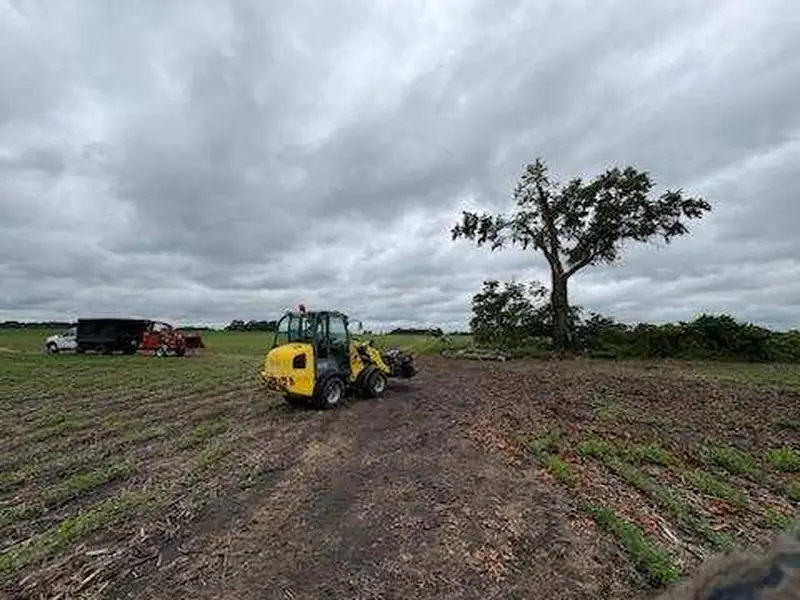 Yellow compact loader clearing brush at the edge of a farm field under a cloudy sky