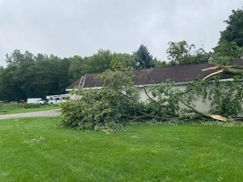 Storm-broken limbs lying across the roof and yard of a ranch house