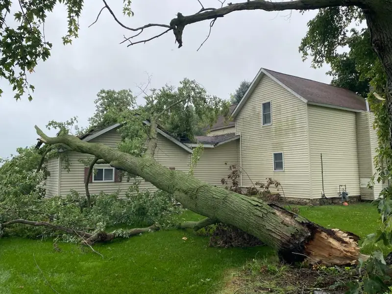 Before: a large storm-toppled tree lying across the roof of a two-story farmhouse