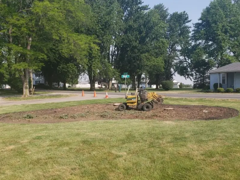 A ring of ground-up wood and soil in a front yard where a stump was ground out, grinder in the background